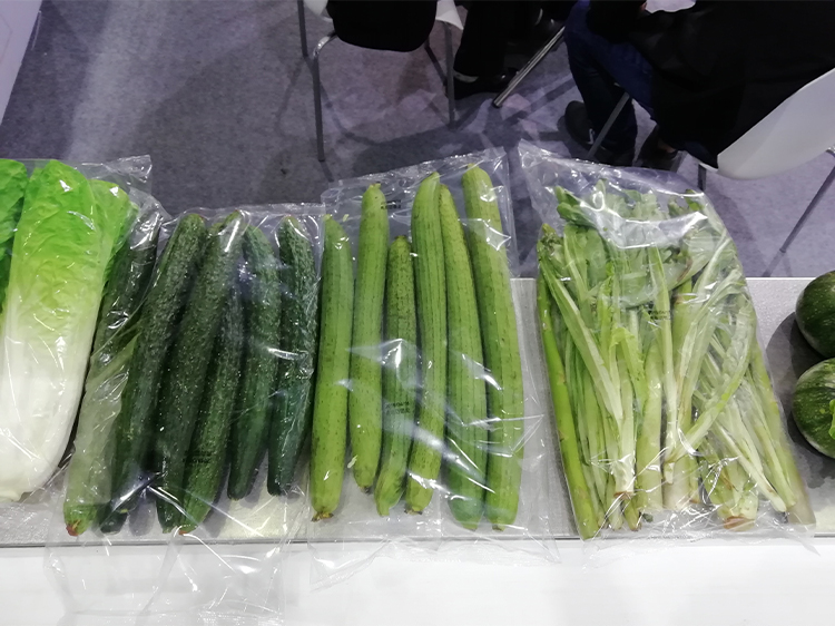 防雾膜
